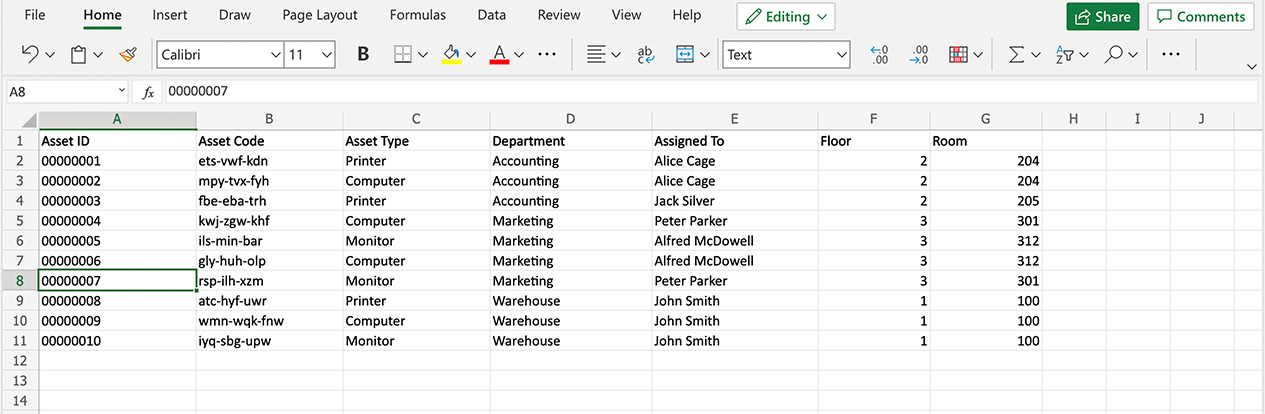 Data to use for asset tags in Excel